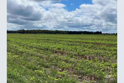 5700 Block Pine Forest Road, Walnut Hill, FL 32568 - Photo 18