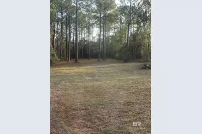 17086 State Highway 180, Gulf Shores, AL 36542 - Photo 2