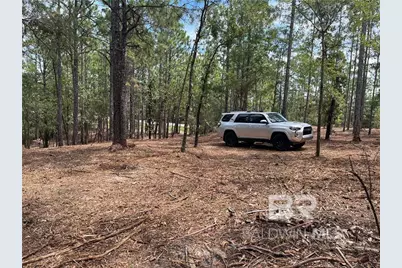 0 State Highway 225, Spanish Fort, AL 36527 - Photo 2