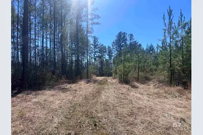 8 Robinsonville Road, Atmore, AL 36502 - Photo 24