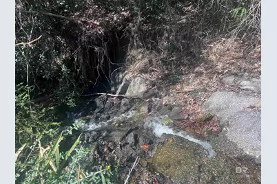 8 Robinsonville Road, Atmore, AL 36502 - Photo 28