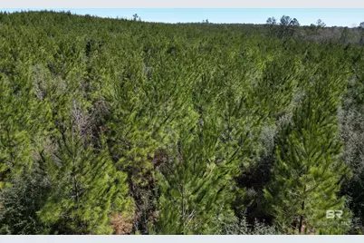 8 Robinsonville Road, Atmore, AL 36502 - Photo 10