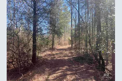 8 Robinsonville Road, Atmore, AL 36502 - Photo 20