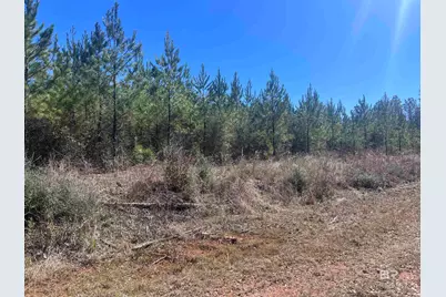 8 Robinsonville Road, Atmore, AL 36502 - Photo 18
