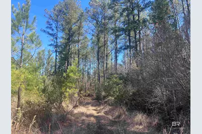 8 Robinsonville Road, Atmore, AL 36502 - Photo 26