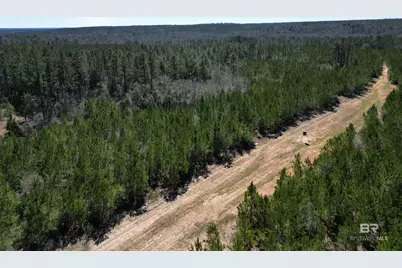 8 Robinsonville Road, Atmore, AL 36502 - Photo 12