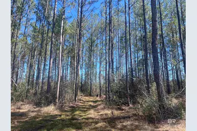 8 Robinsonville Road, Atmore, AL 36502 - Photo 4