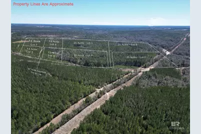 1 Robinsonville Road, Atmore, AL 36502 - Photo 4