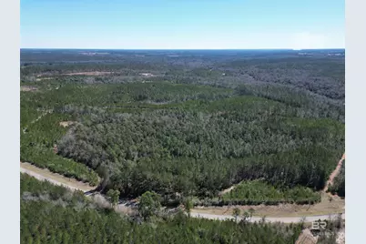 1 Robinsonville Road, Atmore, AL 36502 - Photo 8