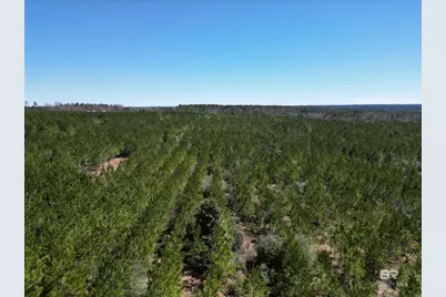 1 Robinsonville Road, Atmore, AL 36502 - Photo 16