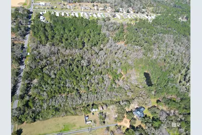 0 County Road 65, Foley, AL 36535 - Photo 2