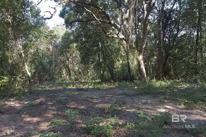 13555 Nolte Creek Drive, Foley, AL 36535 - Photo 10