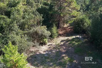 0 Nolte Creek Drive, Foley, AL 35635 - Photo 8