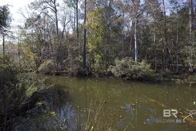 0 Nolte Creek Drive, Foley, AL 35635 - Photo 6