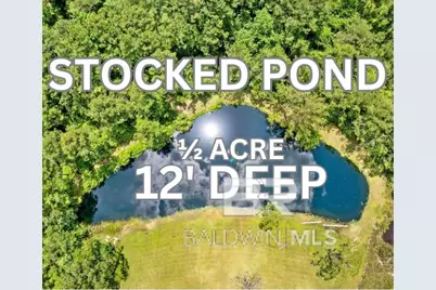 20800 County Road 87, Robertsdale, AL 36567 - Photo 4