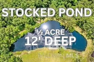 20800 Co Rd 87, Robertsdale, AL 36567 - Photo 4