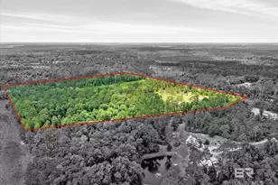 20800 Co Rd 87, Robertsdale, AL 36567 - Photo 44