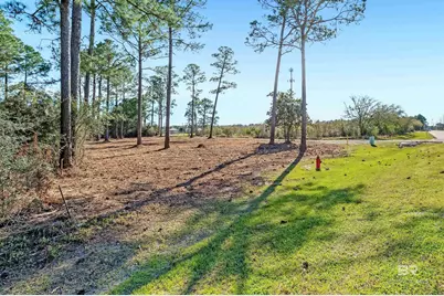 0 Canal Road, Orange Beach, AL 36561 - Photo 8