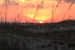 1380 Fort Morgan Road, Gulf Shores, AL 36542 - Photo 18