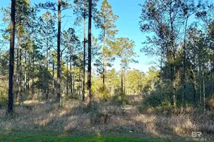 16690 CC Rd, Elberta, AL 36530 - Photo 1