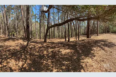 0 S Blakeley Oaks Drive, Spanish Fort, AL 36527 - Photo 4