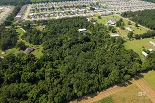 17385 Co Rd 16, Foley, AL 36535 - Photo 2