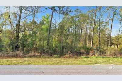 0 S County Road 12, Foley, AL 36535 - Photo 6