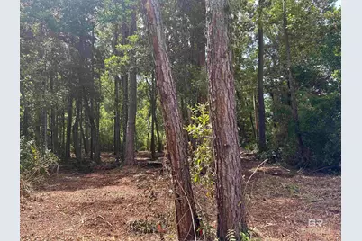 0 Saddlewood Lane, Fairhope, AL 36532 - Photo 22
