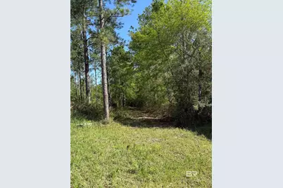 0 Timber Company Road, Robertsdale, AL 36567 - Photo 8