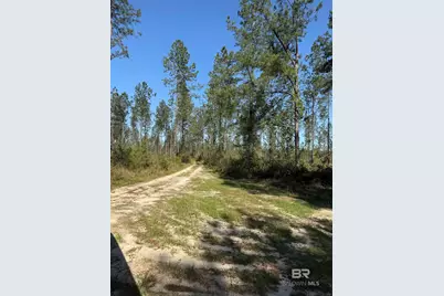 0 Timber Company Road, Robertsdale, AL 36567 - Photo 6