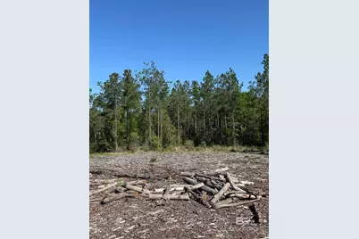 0 Timber Company Road, Robertsdale, AL 36567 - Photo 10