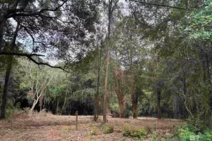 229 East Dr, Mobile, AL 36608 - Photo 1