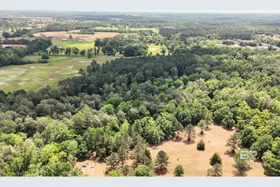 Pearson Lane, Robertsdale, AL 36567 - Photo 10