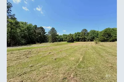 Pearson Lane, Robertsdale, AL 36567 - Photo 4