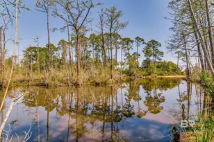 11080 Co Rd 99, Lillian, AL 36549 - Photo 68
