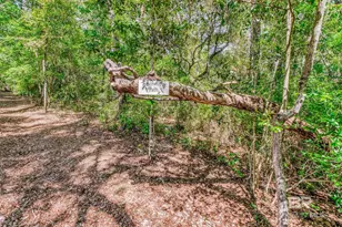 11080 Co Rd 99, Lillian, AL 36549 - Photo 94