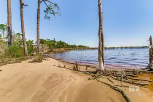 11080 Co Rd 99, Lillian, AL 36549 - Photo 78