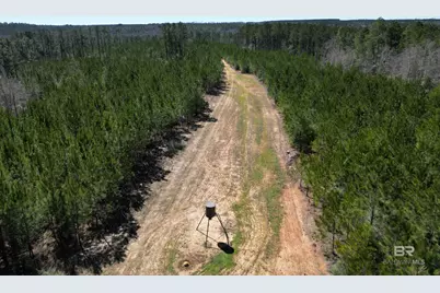 2 Robinsonville Road, Atmore, AL 36502 - Photo 14