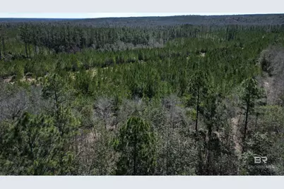 2 Robinsonville Road, Atmore, AL 36502 - Photo 12