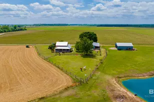 24795A County Road 32, Elberta, AL 36530 - Photo 92