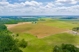 24795A County Road 32, Elberta, AL 36530 - Photo 86