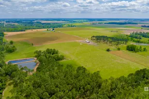 24795A County Road 32, Elberta, AL 36530 - Photo 84