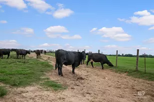 24795A County Road 32, Elberta, AL 36530 - Photo 98