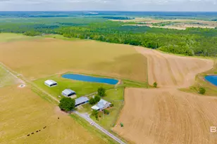 24795A County Road 32, Elberta, AL 36530 - Photo 64