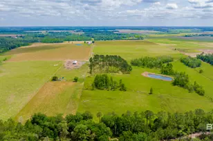 24795A County Road 32, Elberta, AL 36530 - Photo 82