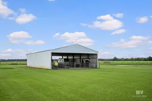 24795A County Road 32, Elberta, AL 36530 - Photo 80