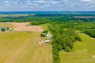 24795A County Road 32, Elberta, AL 36530 - Photo 74