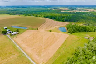 24795A County Road 32, Elberta, AL 36530 - Photo 66