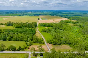 24795A County Road 32, Elberta, AL 36530 - Photo 70