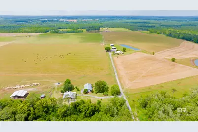 24795A County Road 32, Elberta, AL 36530 - Photo 68